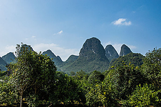 soi cầu bạch kim 666